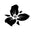 Logotipo de Trillium
